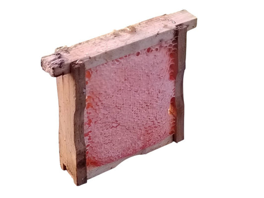 Mini-frames of fynbos comb honey